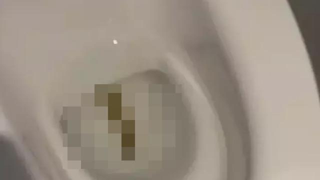 Ünlü isim Bali tatilinden paylaştı! Klozetin içinde görünce...