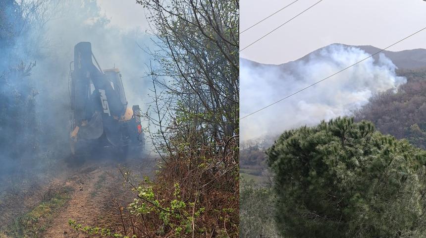 Yalova'da korkutan orman yangını! Çınarcık ilçesinde yaşanan yangın rüzgarın etkisiyle kontrol altına alınamıyor