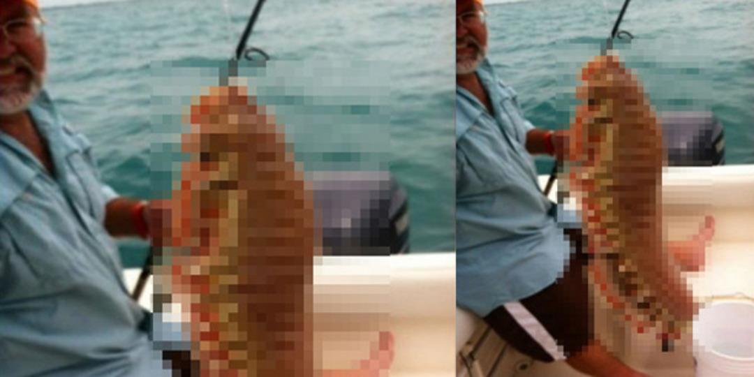 Oltasına takılanı g&ouml;r&uuml;nce hayrete d&uuml;şt&uuml;