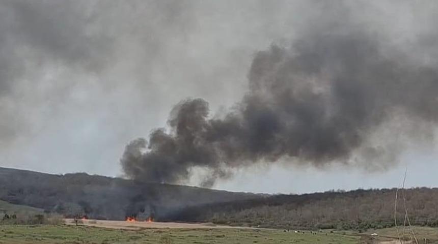 Sakarya'da iki ayrı nokta sazlık yangını! Ormanlık alana sıçramadan ekipler müdahale etti