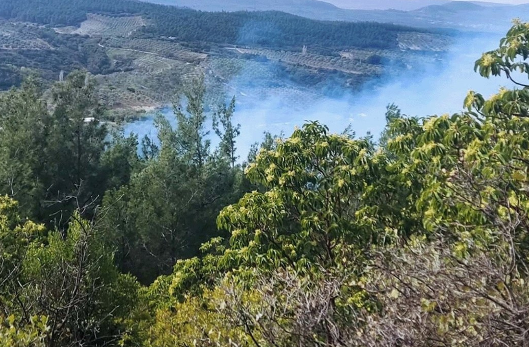 Manisa’da orman yangını:  1 hektar alan zarar gördü