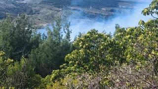 Manisa’da orman yangını:  1 hektar alan zarar gördü