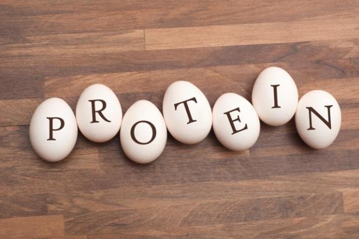  Güne proteinle başlayın