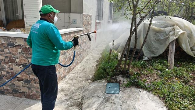 Canik'te kokarcayla ilaçlı müdahale 