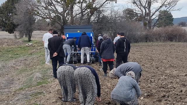 250 dekarlık alanda üretip 5 yerde satıyorlar!