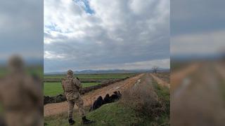Bakan Yerlikaya açıkladı! Edirne’de 1 hafta içinde yurt dışına kaçmaya çalışan 25 şüpheli yakalandı