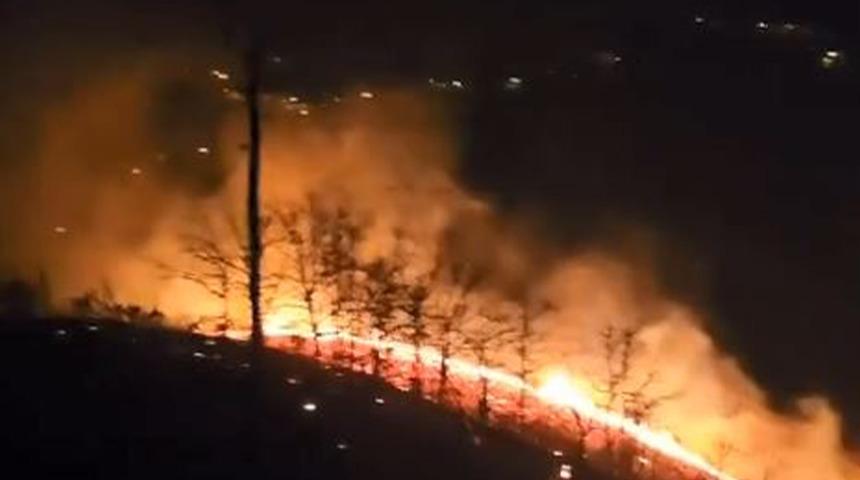Trabzon’da korkutan yangın! Ormanlık alanda alevler yükseldi, müdahale devam ediyor