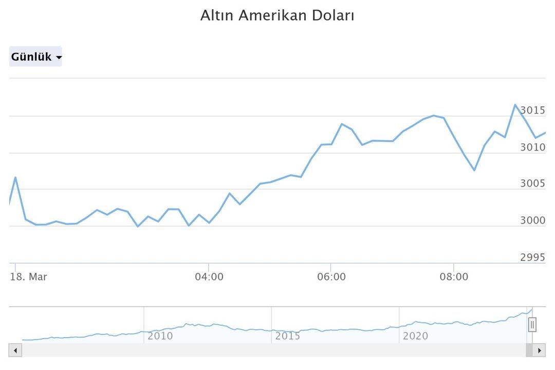 altn-amerikan-dolar (8)