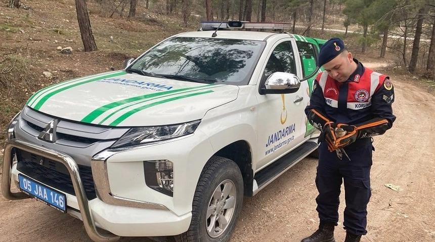 Amasya’da yaralı bulunan atmacaya HAYDİ şefkati
