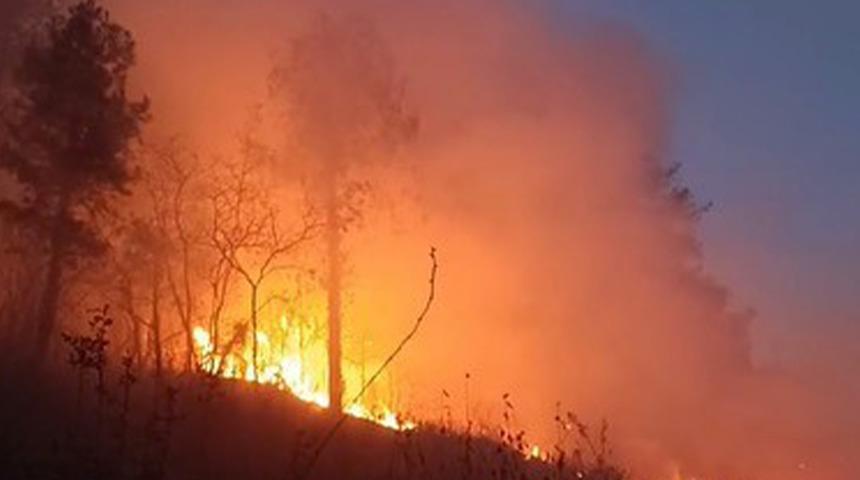 Hatay'da ormanlık alan yangını! İskenderun ilçesinde alevler yükseldi, büyümeden söndürüldü