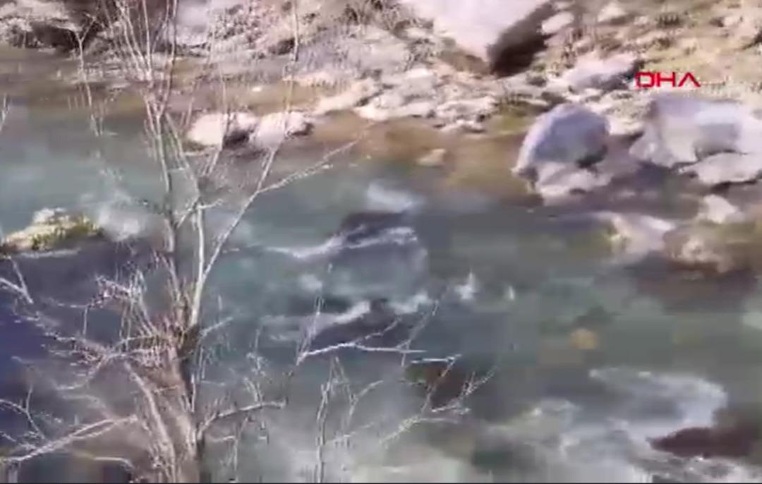 Ekran görüntüsü 2025-03-18 114809