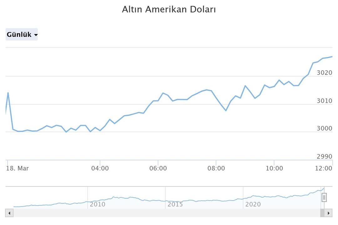 altn-amerikan-dolar (9)