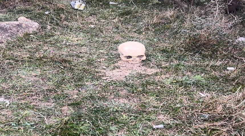 Arnavutköy'de insana ait kafatası bulundu; ekipler harekete geçti
