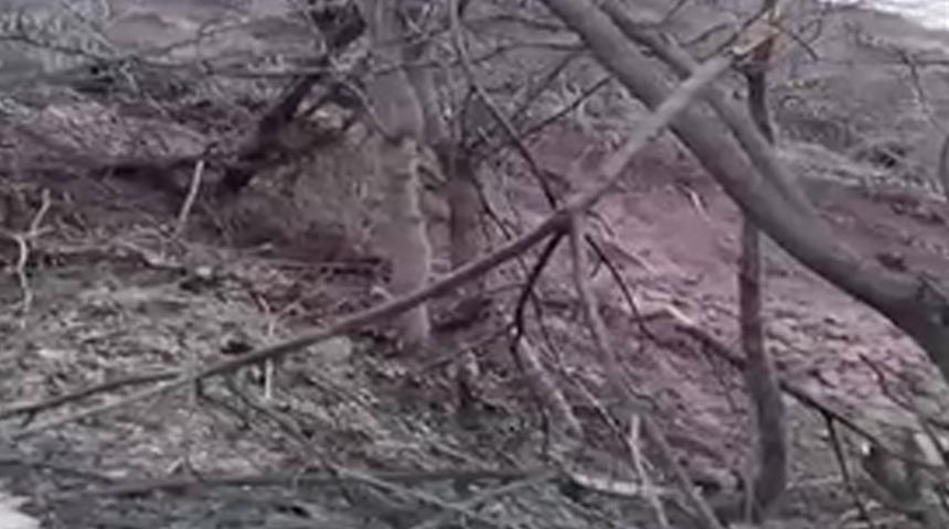 Artvin’de heyelan; ahşap ev çatısının üzerine devrildi