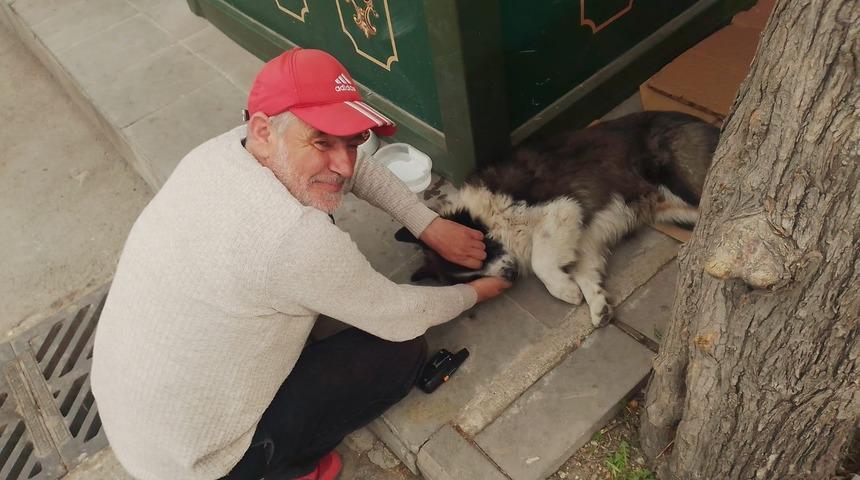 Taksi durağında sahiplendiği köpeğe çocuğu gibi bakıyor!
