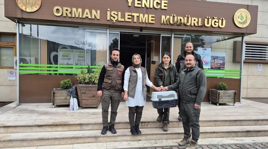 Karabük'te orman işçilerinin bulduğu ayı yavrusu koruma altına alındı