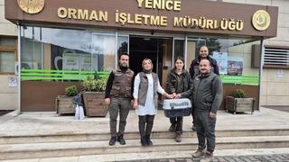 Karabük'te orman işçilerinin bulduğu ayı yavrusu koruma altına alındı