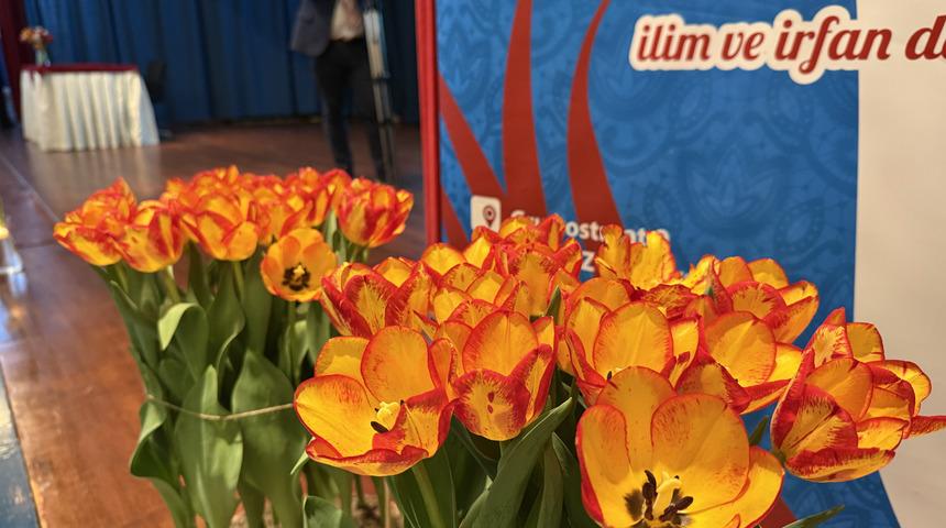 Hollanda'da özel olarak yetiştirilen yeni tür laleye "Gelibolu" adı verildi