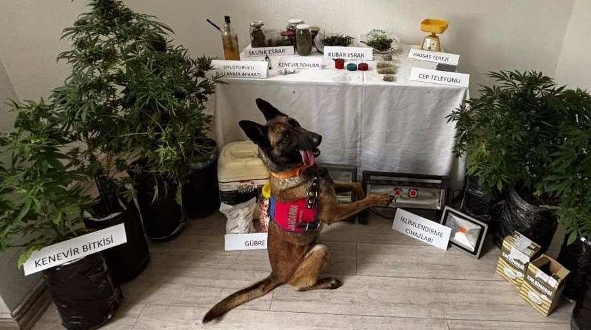 Muğla'da uyuşturucu operasyonunda gözaltına alınan zanlı tutuklandı