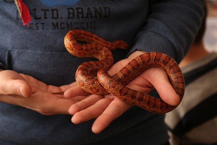 Böyle koleksiyon olur mu? G3