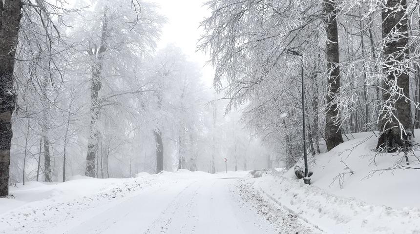 İstanbul'un komşusu karla kaplandı... Kuzuyayla Tabiat Parkı beyaza büründü!