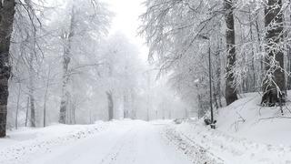 İstanbul'un komşusu karla kaplandı... Kuzuyayla Tabiat Parkı beyaza büründü!