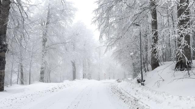 İstanbul'un komşusu karla kaplandı... Kuzuyayla Tabiat Parkı beyaza büründü!