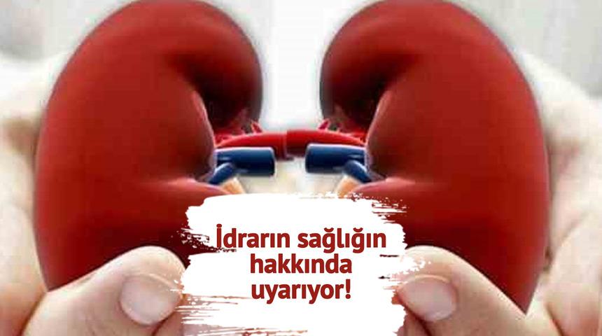 Böbrek sağlığına dikkat! İdrardaki değişiklikler hayati uyarılar olabilir: Uzmanlar tehlikeli şikayetleri anlattı...