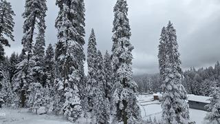 Yer: Düzce! Kentin yüksek kesimleri beyaza büründü