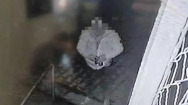 Biri okul kamerasını diğeri sadaka kutusunu çaldı