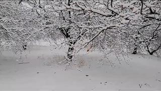Elazığ’da kar bastırdı