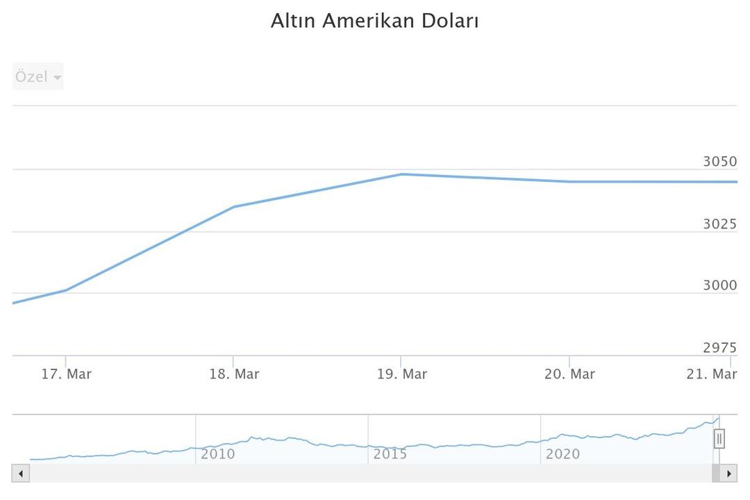 altn-amerikan-dolar (10)