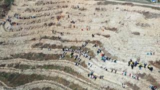 Denizli'de Ormancılık Günü etkinliği: 15 bin 300 fidan toprakla buluştu