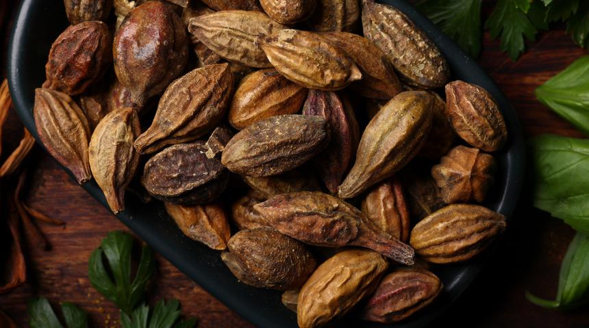 Sarı halilenin faydaları nelerdir? Sarı halile ne işe yarar? Sarı halilenin faydaları ve zararları