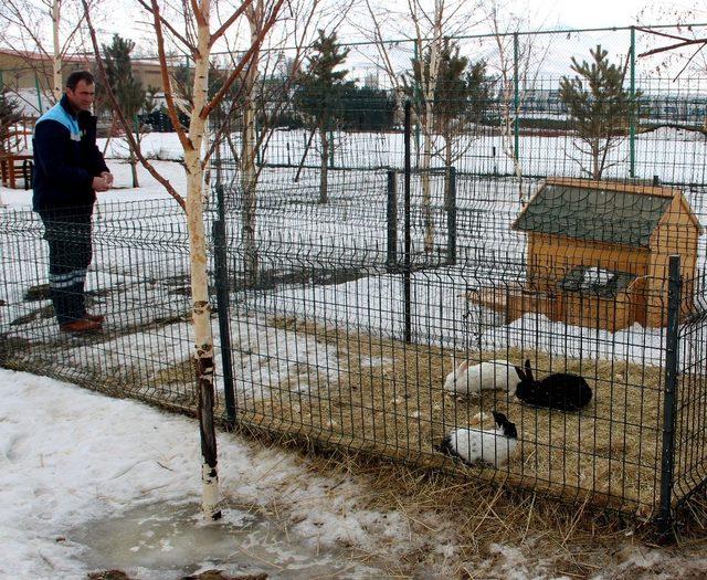 14 Şubat Sevgililer Gününde tavşan almayın