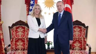 Erdoğan, Bosna Hersek Devlet Başkanlığı Konseyi Başkanı Sviyanoviç ile görüştü