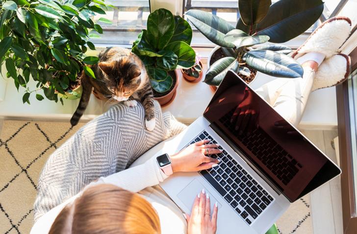 Ev hanımları için ek gelir elde etme yöntemleri nedir? Evden para kazanmanın basit ve güvenilir yolları...