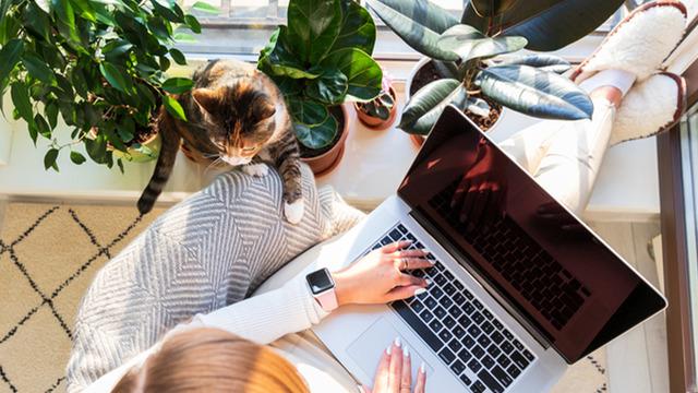 Ev hanımları için ek gelir elde etme yöntemleri nedir? Evden para kazanmanın basit ve güvenilir yolları...