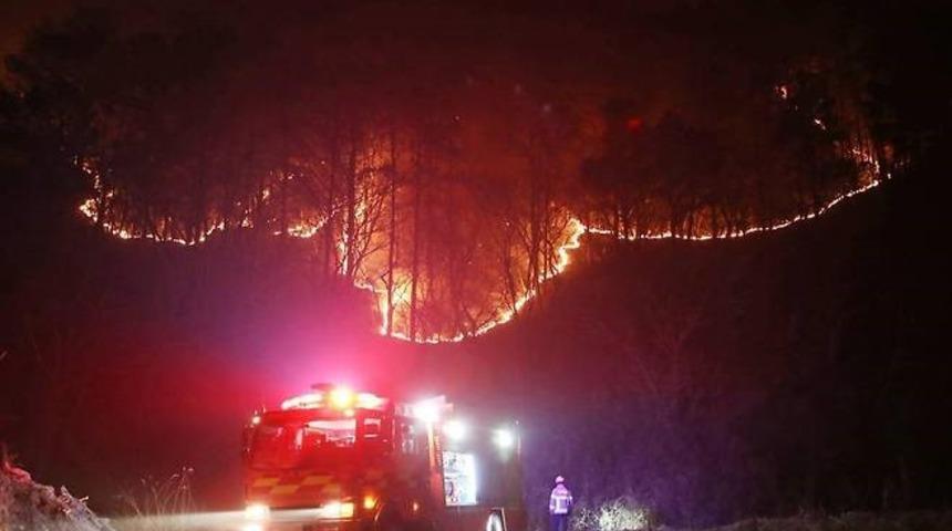 Güney Kore’deki orman yangınlarında can kaybı arttı