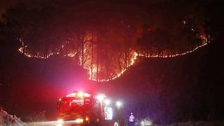 Güney Kore’deki orman yangınlarında can kaybı arttı