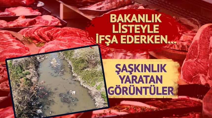Yeni bir at eti ve eşek eti skandalı: Soru işareti yaratan görüntüler! Bakanlık listeyle ifşa ederken...