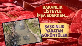 Yeni bir at eti ve eşek eti skandalı: Soru işareti yaratan görüntüler! Bakanlık listeyle ifşa ederken...