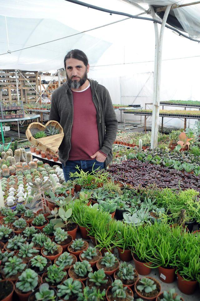 Koleksiyonerlerin g&ouml;zdesi sukulent ve kakt&uuml;se, 14 Şubat ilgisi 1