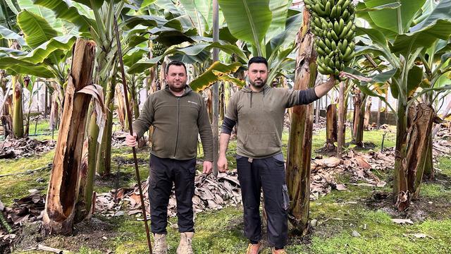 45 TL'den alıcı buluyor 'Fiyatlarda artış beklenebilir'