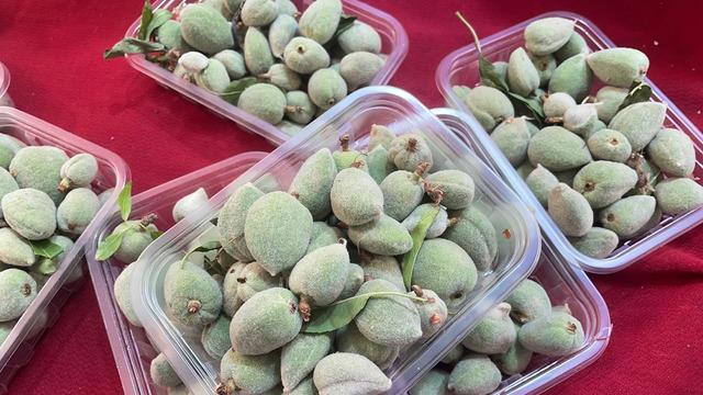 Pazar tezgahlarında yerini aldı, kilosu 1000 liraya kadar çıkıyor!