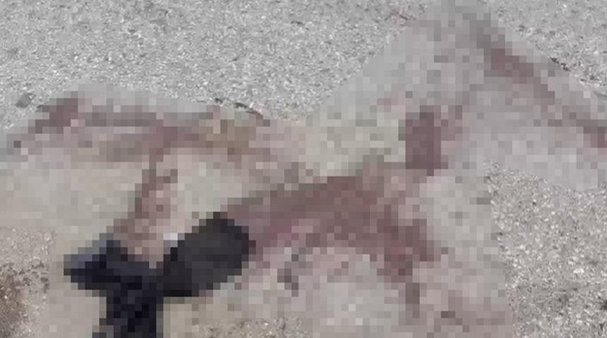 Komşu esnaflar birbirine girdi! Levye ve tornavidalar havada uçuştu... 7 kişi yaralandı