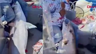 Hatay'da oltaya servet vurdu! 15 bin liraya sattı