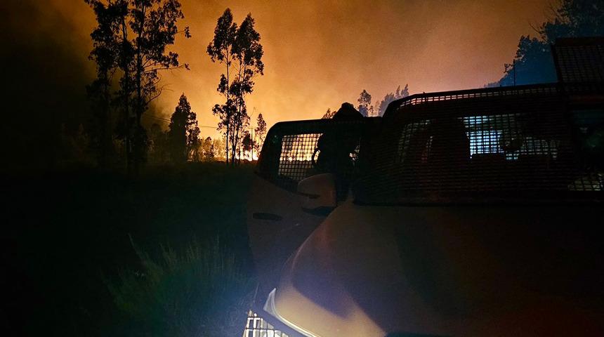 Okullar bile tatil edildi! Şili'de orman yangını: 2 bin kişi tahliye edildi