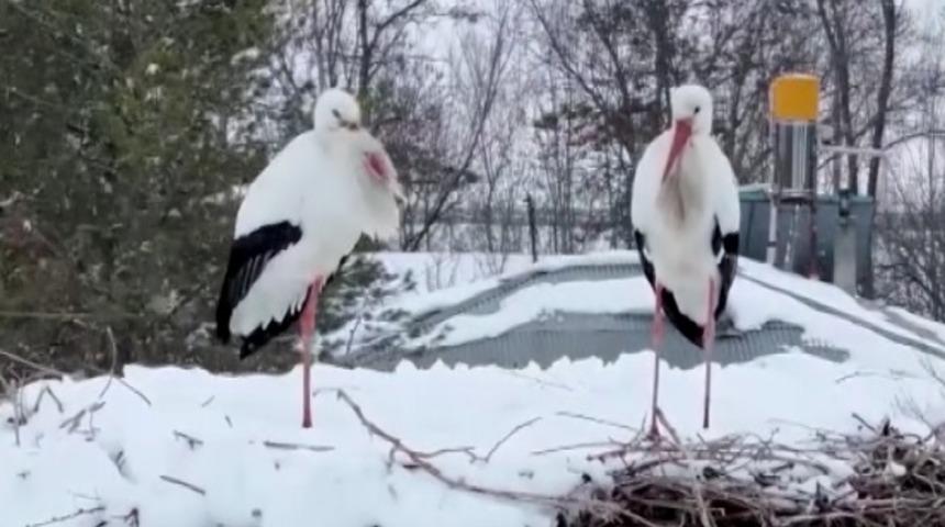 Göç etmeyince Erzincan'da kara yakalandılar
