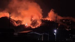 Japonya’da 4 gündür süren orman yangınları 1 eyalete daha sıçradı